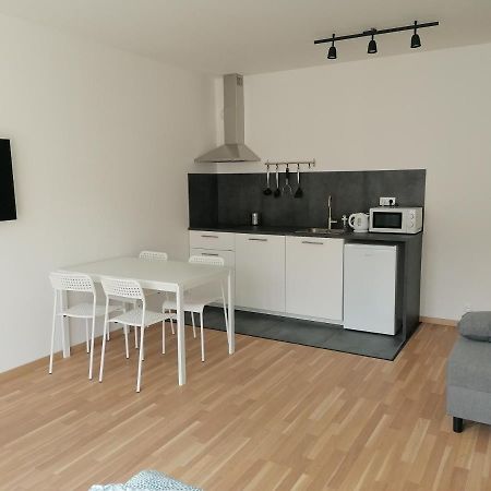 Brand New Studio Apartment #21 With Free Secure Parking In The Center Prag Dış mekan fotoğraf